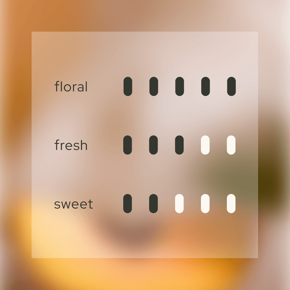 Velvet Embrace  韻  Home Reed Diffuser